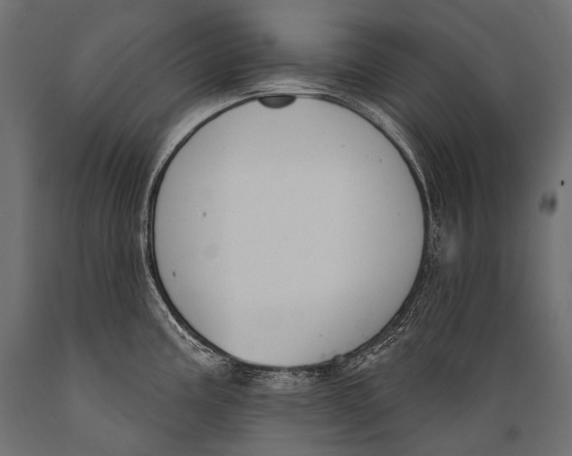 X0000088881195200706291556