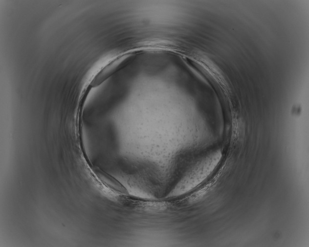 X0000088881196200706291556