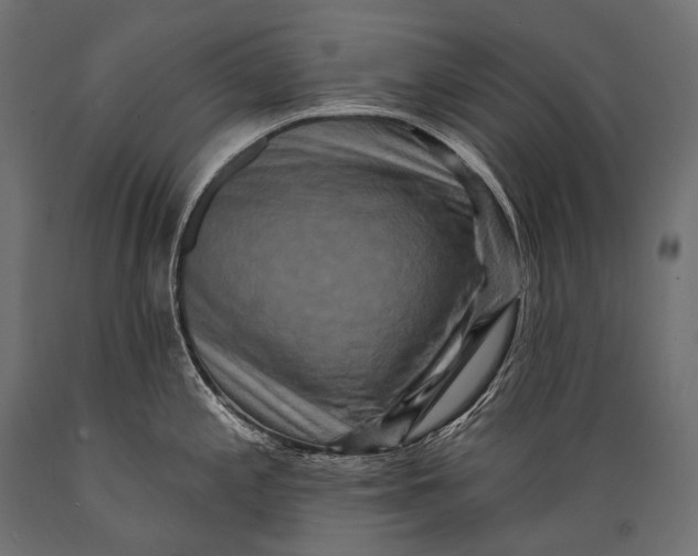 X0000088881197200706291556