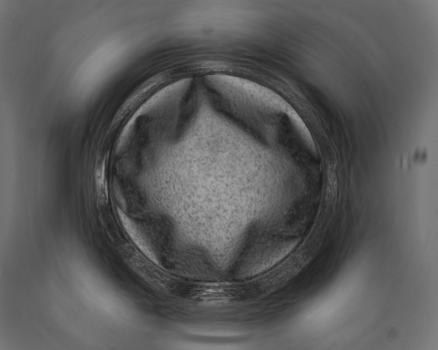 X0000088881198200706291556