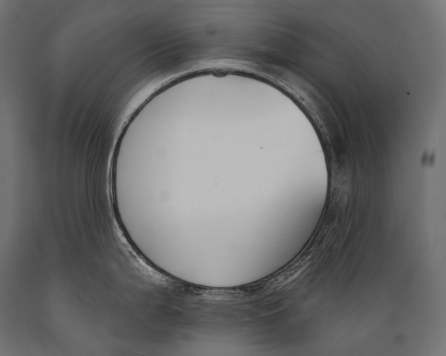 X0000088881199200706291556