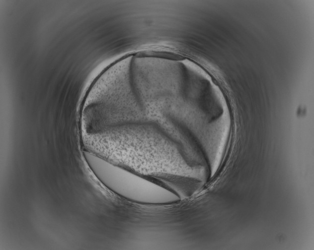 X0000088881200200706291556