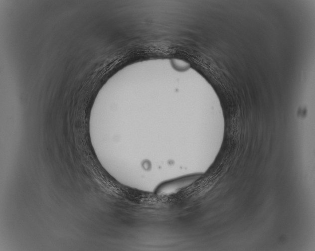 X0000088881201200706291555