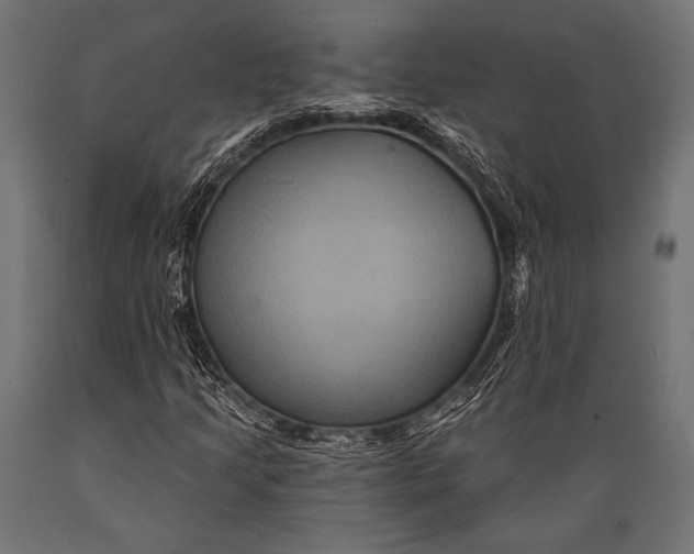 X0000088881205200706291555