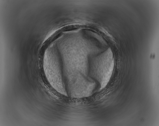 X0000088881208200706291555