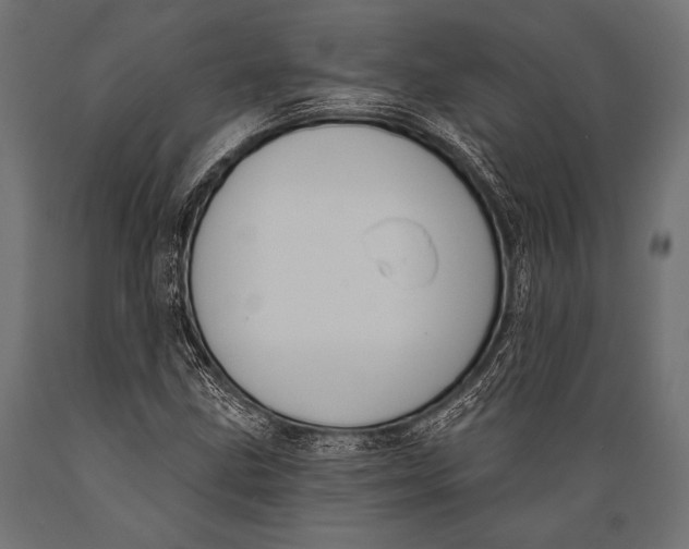 X0000088881211200706291556