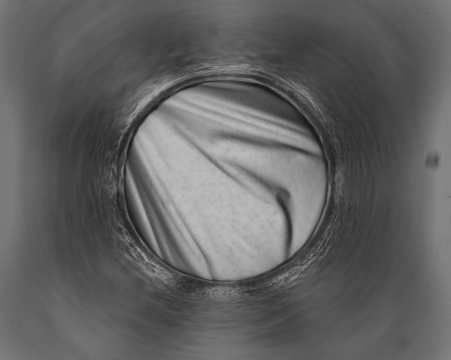 X0000088881212200706291556