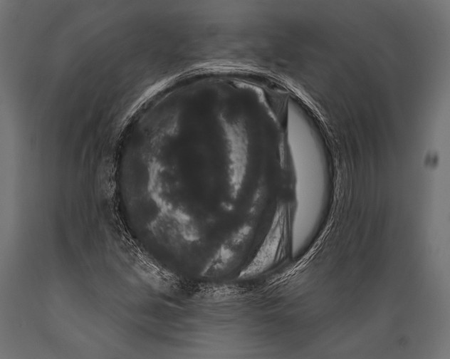 X0000088881213200706291556