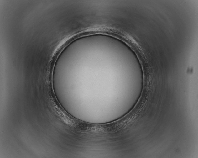 X0000088881216200706291556