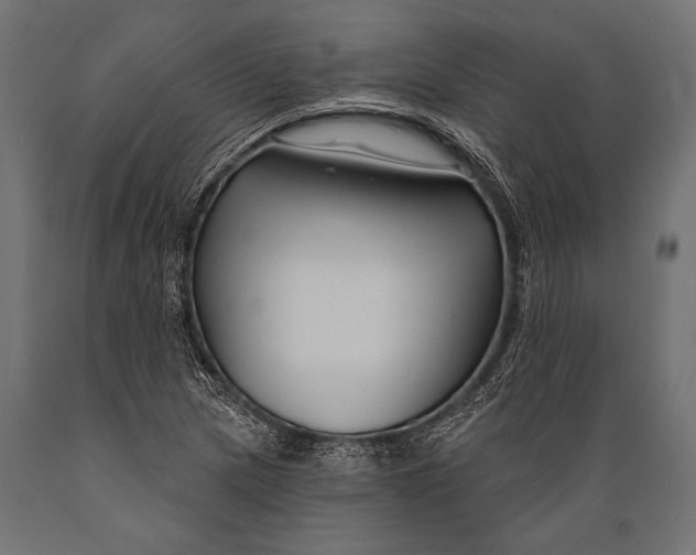 X0000088881217200706291556