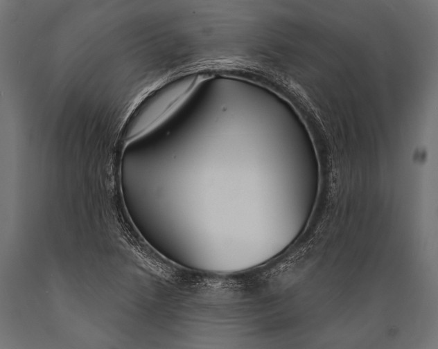 X0000088881218200706291556