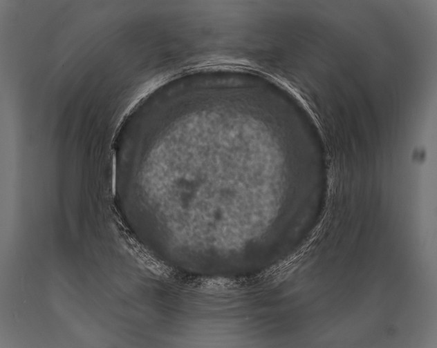 X0000088881219200706291556