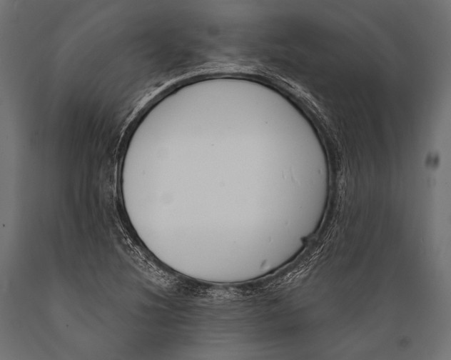 X0000088881220200706291556