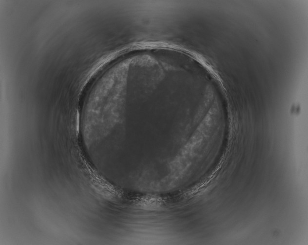 X0000088881221200706291556