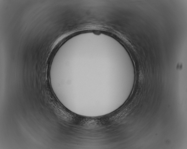 X0000088881222200706291556