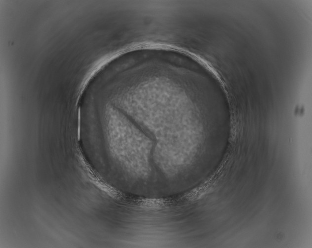 X0000088881223200706291556