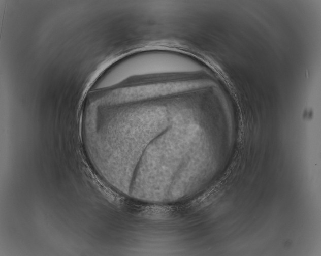 X0000088881224200706291556