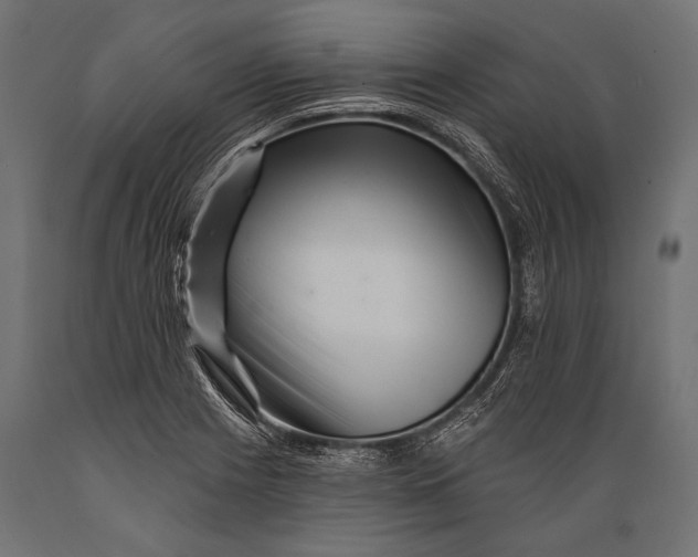 X0000088881225200706291556