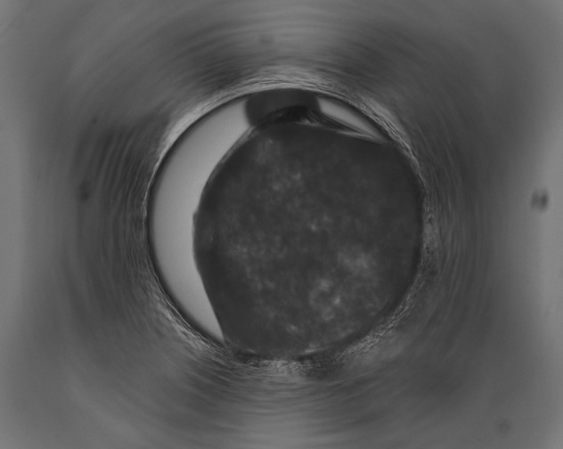 X0000088881226200706291556