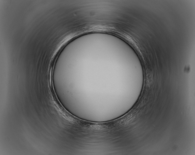 X0000088881227200706291556