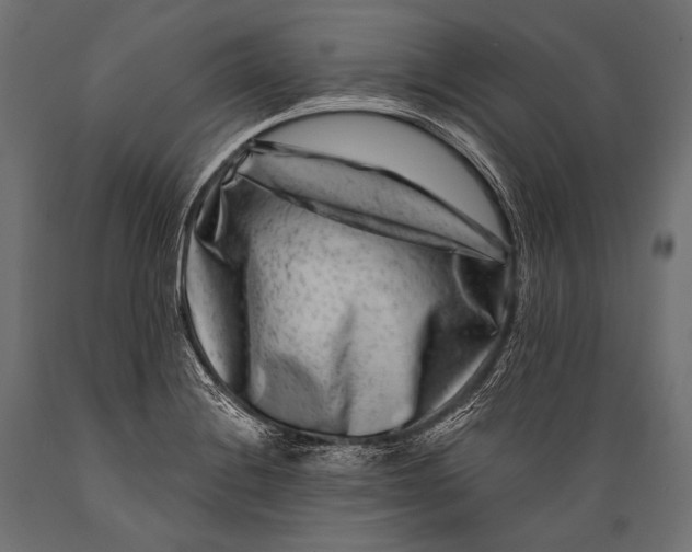 X0000088881228200706291556