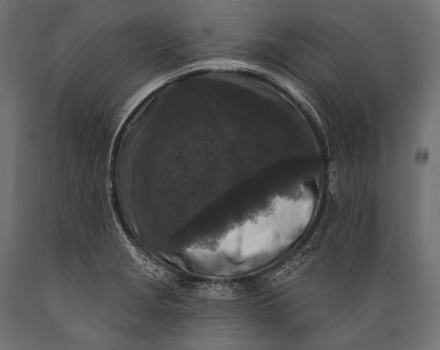 X0000088881229200706291556