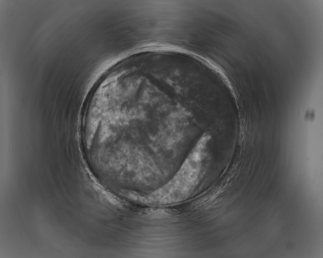 X0000088881231200706291556