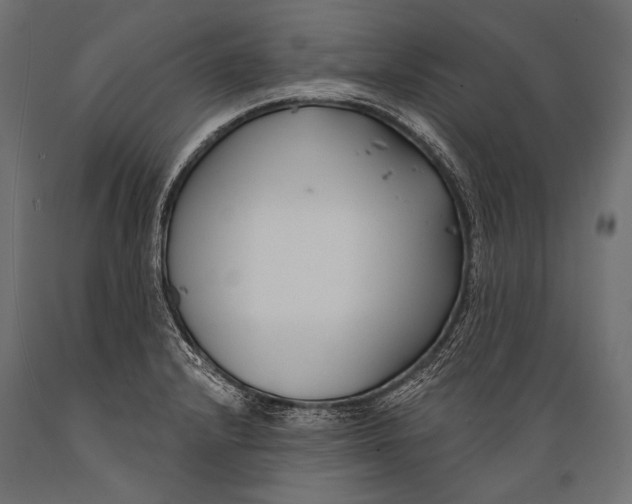 X0000088881232200706291556