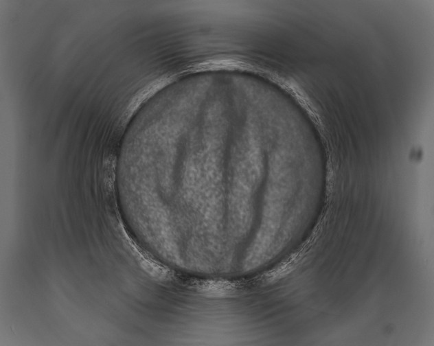 X0000088881233200706291556