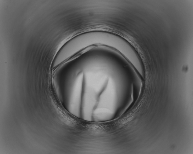 X0000088881234200706291556