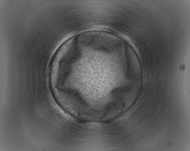 X0000088881235200706291556