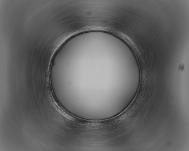 X0000088881236200706291556