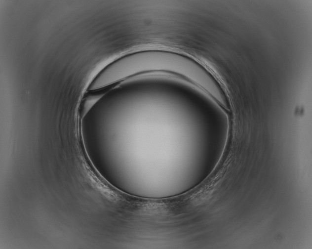 X0000088881238200706291556