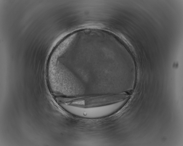 X0000088881240200706291556