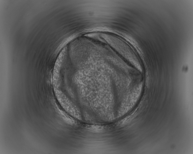 X0000088881241200706291556