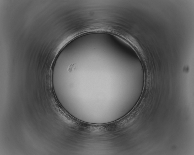 X0000088881242200706291556