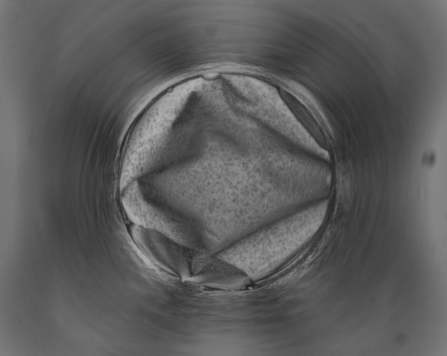 X0000088881244200706291556