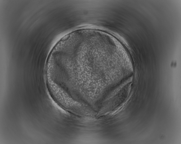 X0000088881247200706291556