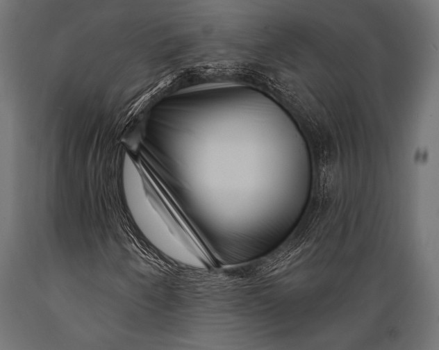 X0000088881250200706291555