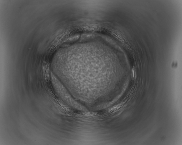 X0000088881251200706291555