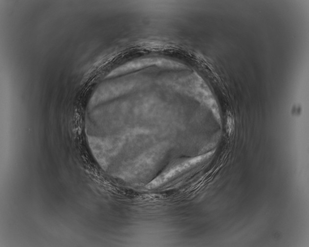 X0000088881253200706291555