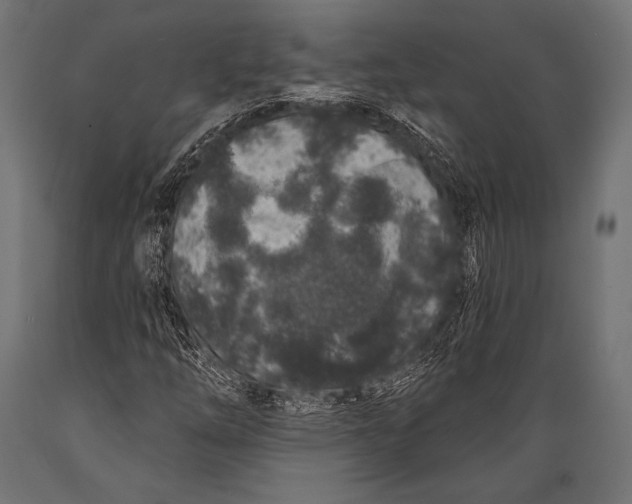 X0000088881254200706291555