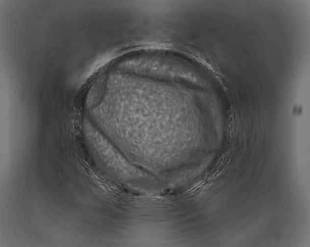 X0000088881255200706291555