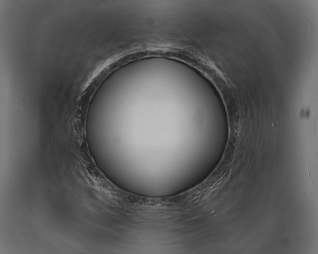 X0000088881256200706291555