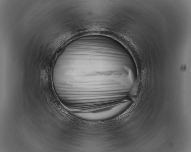 X0000088881257200706291555