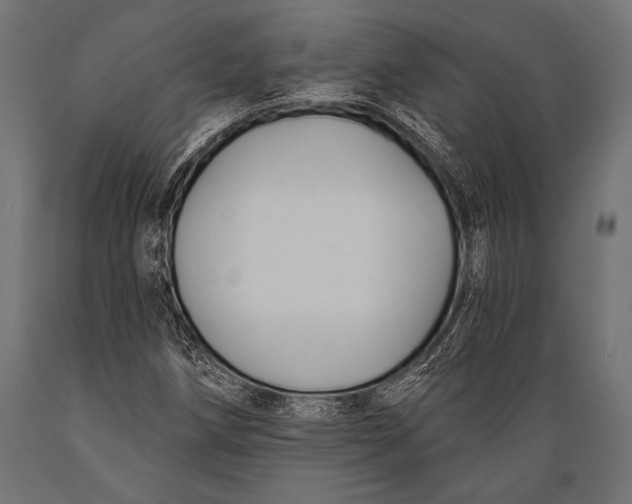 X0000088881258200706291555