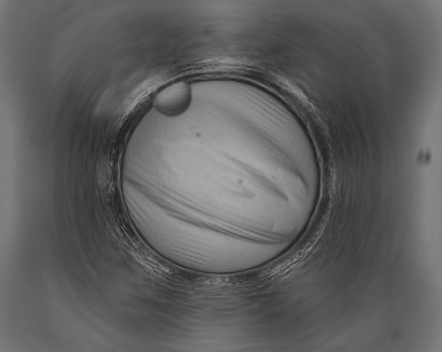 X0000088881259200706291555