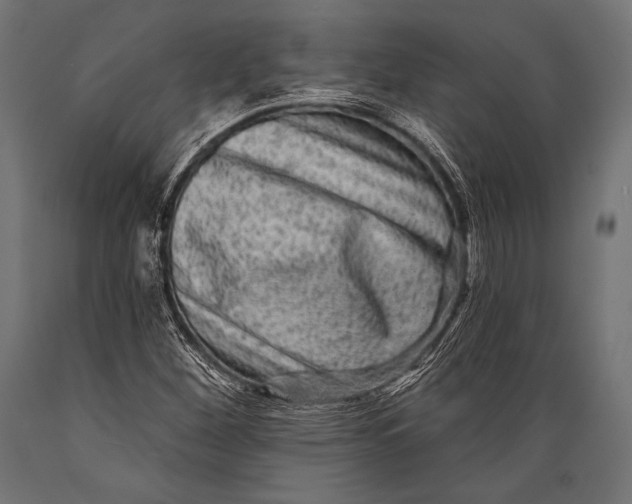 X0000088881260200706291555