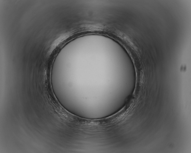 X0000088881261200706291555