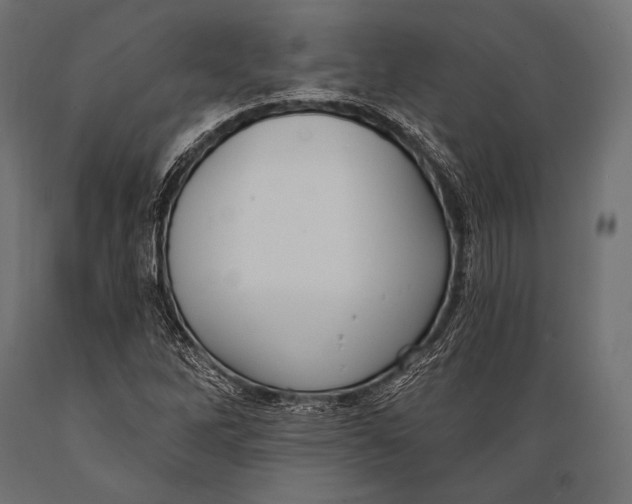 X0000088881262200706291555